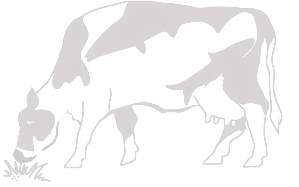 11.8. Ko - som i kommunikation Handlingsplanen för landsbygdsprogrammet 2014-2020 och havs- och fiskeriprogrammet 2014-2020 i Gävleborg kommer att gestaltas av en betande ko.