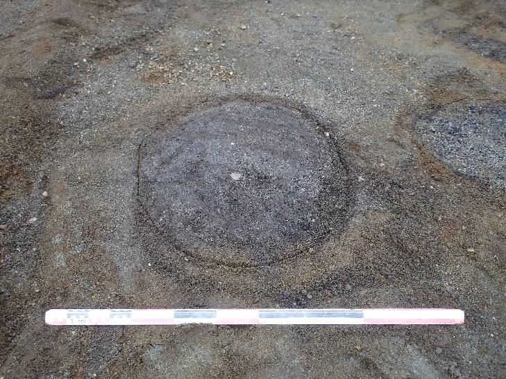 IDnr. 215821-1 Kulturlager Kulturlagret är naturligt avgränsat i NÖ. Lagret har blivit tolkat som ett golvlager/en aktivitetsyta i anslutning till huset som utgör lokalitet IDnr. 215821. Rent stratigrafiskt ligger lagret direkt under matjorden och ovanpå stolphålen och kokgropen i lokaliteten.