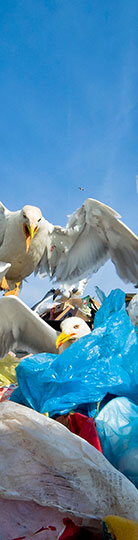 SOER2015 / Cross-country comparisons/ Waste municipal solid waste generation GO TO ONLINE BRIEFING Hushållsavfall (Kommunalt avfall) (~10 % av den totala mängden avfall) Genereringen av kommunalt