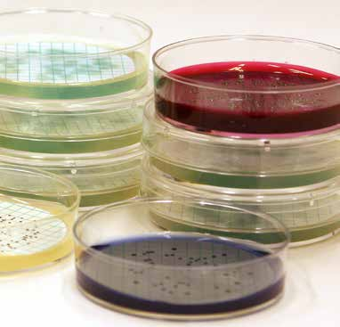 Rapport 27-21 Kompetensprovning Mikrobiologi - Dricksvatten - September 21 av