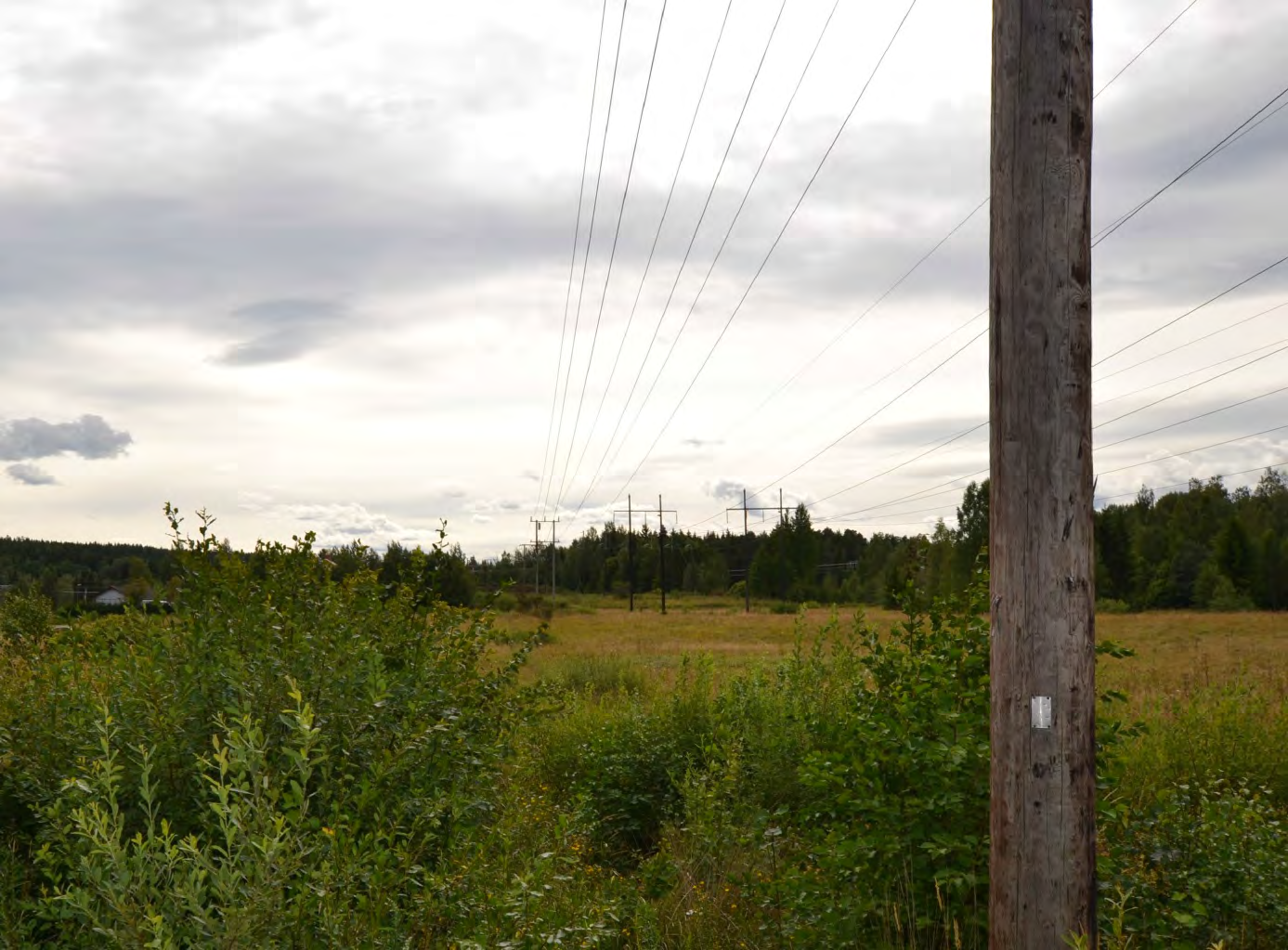 3.2 Material för luftledningen Luftledningen L60L8 utgörs av en isolerad friledning med ledare av FEAL 234. Stolparna består av träportalstolpar.