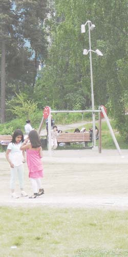 Flemingsbergsparken fungerar idag som en stadspark med tydliga mad av höga träd. Den är placerad på en naturlig platå i det i övrigt mycket kuperade grönområdet.