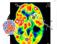 PET Positron Emission Tomography Två fotoner 180 o motriktade 511 kev 511 kev nnihilationstrålning Funktionella undersökningar i 2 och 3D Michael Ljungberg/Medical JoniserandeRadiation