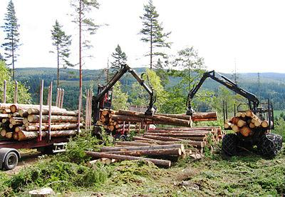 Försurningsproblematik i Värmlands län Hur försurar skogsbruk? H + Ca 2+ Mg 2+ H + K + H + H + H+ (Akselsson m. fl.