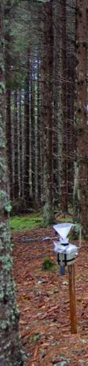 Miljötillståndet i skogsekosystemen i Värmlands län 2012/2013 Det kvarstår omfattande problem med sjöförsurning i länet Lufthalterna och nedfallet av svavel till skogen, och kväve med nederbörden,