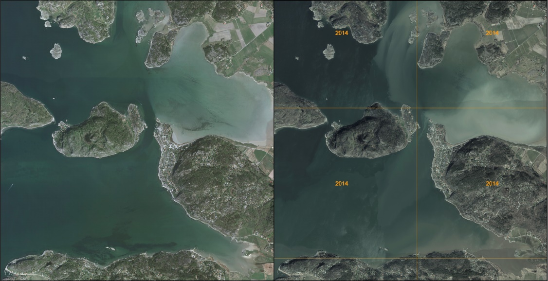 med mjukbotten där förlusten av ålgräsängar och medföljande destabilisering av botten lett till ökad resuspension av sediment och grumlighet av vattnet.