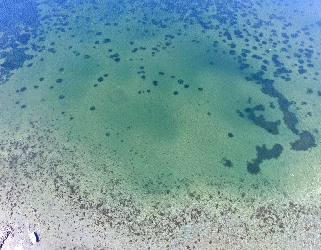 Havs- och vattenmyndighetens rapport 2016:9 Figur 2.3. Ålgräsinventering med drönare. Foto taget med drönare från cirka 100 m höjd över en vik på Gåsö i Lysekils kommun.