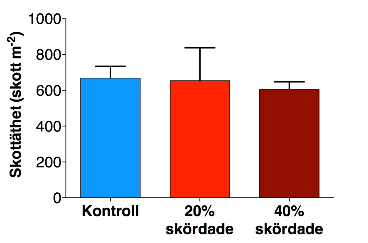 Faktaruta 5.