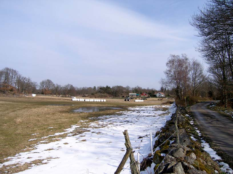 Steneryds naturreservat i områdets västra del. Foto: Thomas Persson.