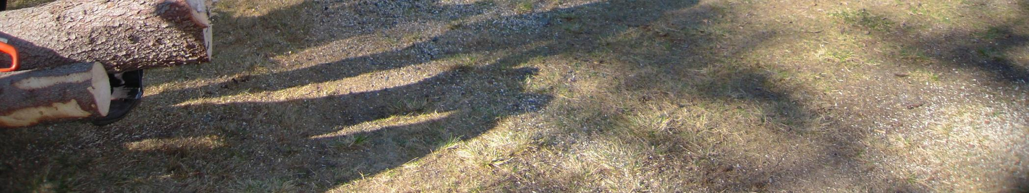 Försäljning av smörgåsar Under hösten har vi levererat ca 430 smörgåsar, självklart gjorda på våra hembakta klåddor, och ca 75 luncher till externa besökare/kunder.