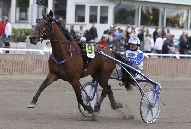 månadens häst juni 2010 Evelina Xing Sto 5 år e. Red Xing u. Anita Palema ue. Alf Palema. Ägare: Easy KB, Uppsala. Uppfödare: Charlotte Frölin, Vallentuna. Tränare: Kajsa Frick.