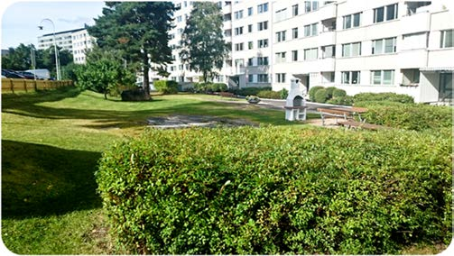VINGTANKAR Nummer 2 2016-06-23 Redaktör: Marie Roth Ordförandes spalt Jag tycker det är fantastiskt den här tiden på året.