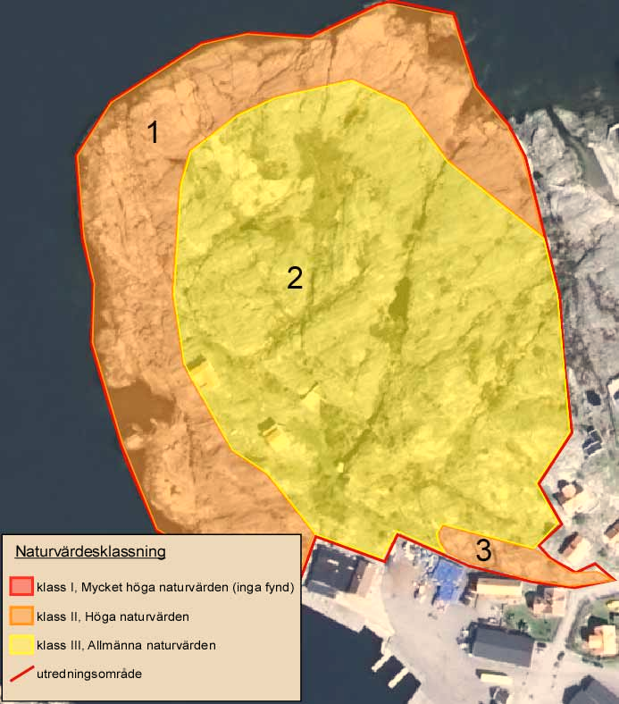 Naturvärdesinventering Naturvärdesinventeringen resulterade i att hela området blev klassat som naturvärde (figur 4).