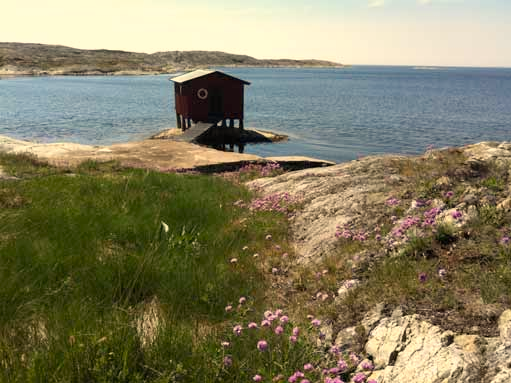 Naturvärdesområde 1 Naturtyp: småflikig klippstrand Naturvärdesklass: II höga naturvärden Värdearter och värdestrukturer: mosaik av kala klippor, hällkar, mindre stenskravelområden, utrinningsmiljöer