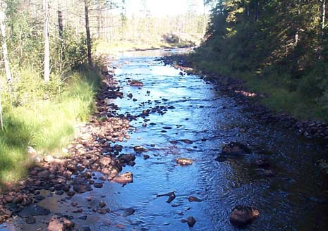 - LIÄLVEN - Ludvika kommun - Biologiska resultat Elprovfiske Endast fyra lokaler har elfiskats vid vardera ett tillfälle inom Liälvens åtgärdsområde.