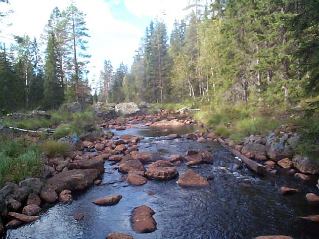 - MÅNGSÄLVEN - Ludvika kommun - Doserarbeskrivning Obj. ID X-koord Y-koord Namn Inst.år Fabrikat Ev. Torr/ Drifttyp Flödes- Fjärrlarm Kap.