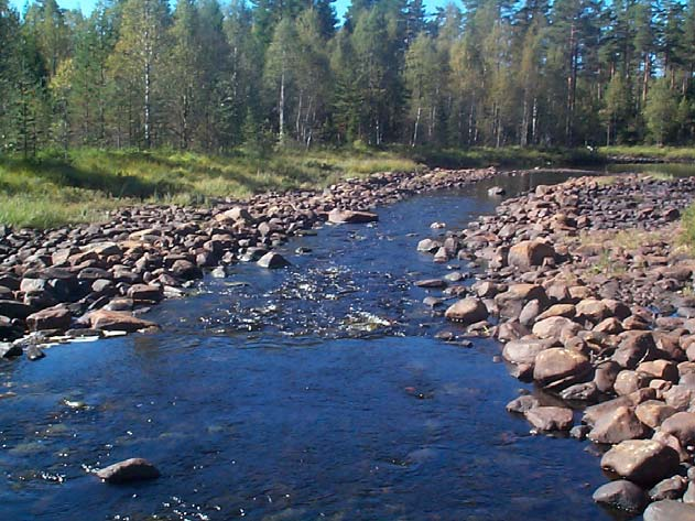 - PAJSOÅN - Ludvika kommun - Figur 3.DZ. Elfiskeresultat, skattade tätheter av öring vid lokalen Låsån Ryberget.