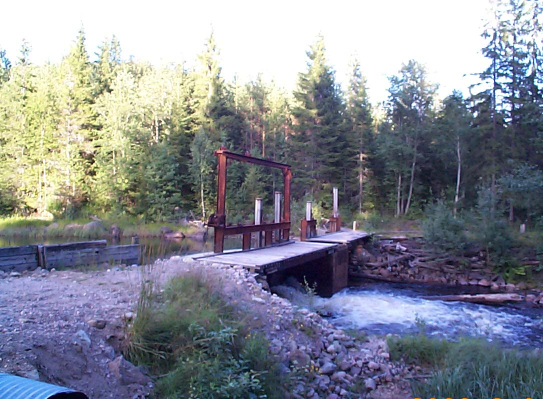 - RÖÄLVEN - Ludvika kommun - ÖRING >+ ÖRING + 11, Täthet (ind/1m 2 ) 1 9,3,2,, 3, 3,3 2,,, 19 19 199 199 199 199 199 199 199 2 21 22 23 2 2 2 2 2 29 Figur 1.EL.