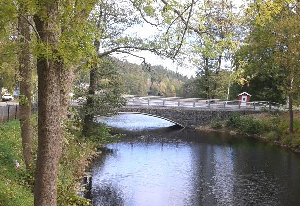 FIGUR 3.8: Bilden visar en vy mot Arketjärn. I en översiktlig fladdermusinventering av Härryda kommun från 2013 påträffades 8 arter av fladdermus i Wendelsbergsparken (Ahlén & Bohman, 2013).