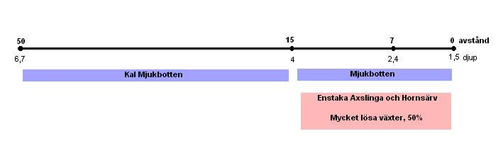 2. Landsnorabäckens mynning Figur 5: Lokal 2. Landsnorabäckens mynning Transekt: Mjukbotten-lokal med mycket löst växtmaterial på de inre delarna av transekten.