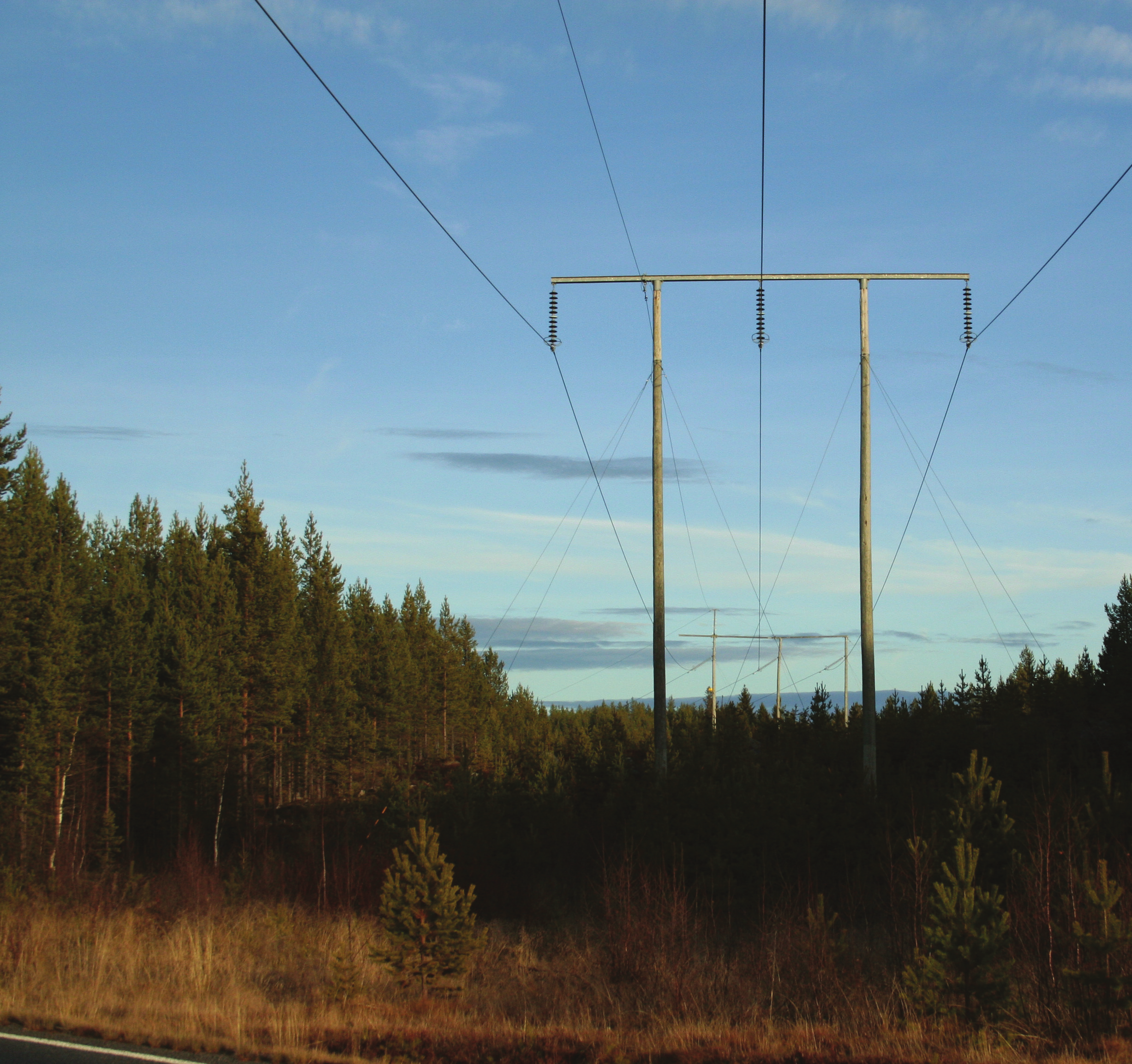 FÖRLÄNGNING AV KONCESSION FÖR SVENSKA KRAFTNÄTS 220 kv LEDNING STADSFORSEN-HÖLLEFORSEN-UNTRA MILJÖKONSEKVENSBESKRIVNING MAJ 2010 Kopia (2) av MKB Stadsforsen-Untra