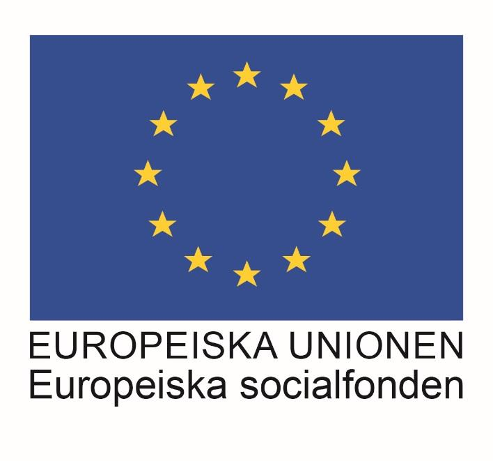 Projektet Yrke, kvalifikation, rörlighet 2015-2016 Syfte Utveckla branschöverskridande metoder och bedömningskriterier för praktisk