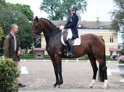 SwedeHorse ambassadör - Jeannas Värld - En solig höstdag i september beger vi oss till Segersta Herrgård där Swede Horse ambassadör i dressyr; Jeanna Högberg har sin bas sedan fyra år tillbaka.