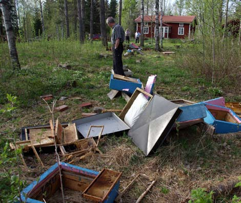 Björnskador i bigårdar