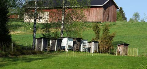 Att tänka på vid permanent stängsling kring bikupor Använd tryckimpregnerade trästolpar (minst 7-8 cm i diameter) i hörnen. Hörnen kan behöva stagas upp med snedsträvor.