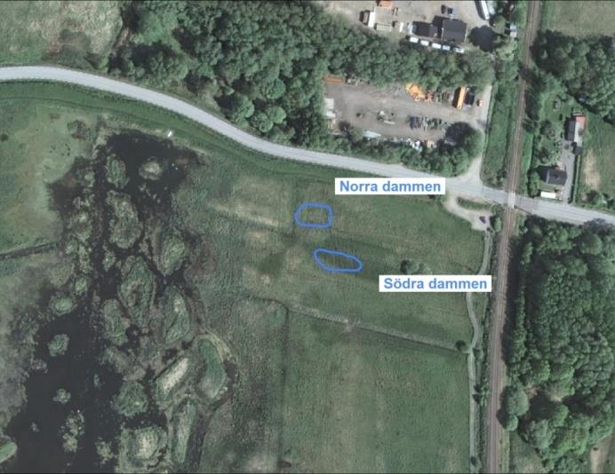 Bild 10. Lerjedalens golfbana* Bild 11. Albatross golfbana* * I röda dammar sattes plantor ut och i blå turioner.