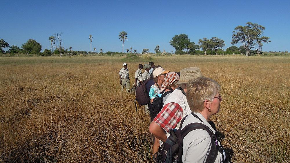 Gruppen på Walking safari vid Delta Camp. Foto: Göran Pettersson INLEDNING Under nästan två veckor fick vi uppleva en skön värme i södra Afrika. Vilken kontrast mot norra Europa.