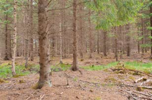 W_Punkt 59_MG_9028 S_Punkt 60_MG_9029 Ö_Punkt 59_MG_9030 N_Punkt 59_MG_9031 p u n k t 59 Det artrika Kulturen Det rofyllda Rymd Det vilda Bullernivå SMDB-kod 5 procent 5