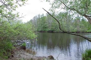 W_Punkt 60_MG_9036 S_Punkt 60_MG_9037 Ö_Punkt 60_MG_9038 N_Punkt 50_MG_9040 p u n k t 60 Det artrika Kulturen Det rofyllda Rymd Det vilda Bullernivå SMDB-kod 50 procent 5