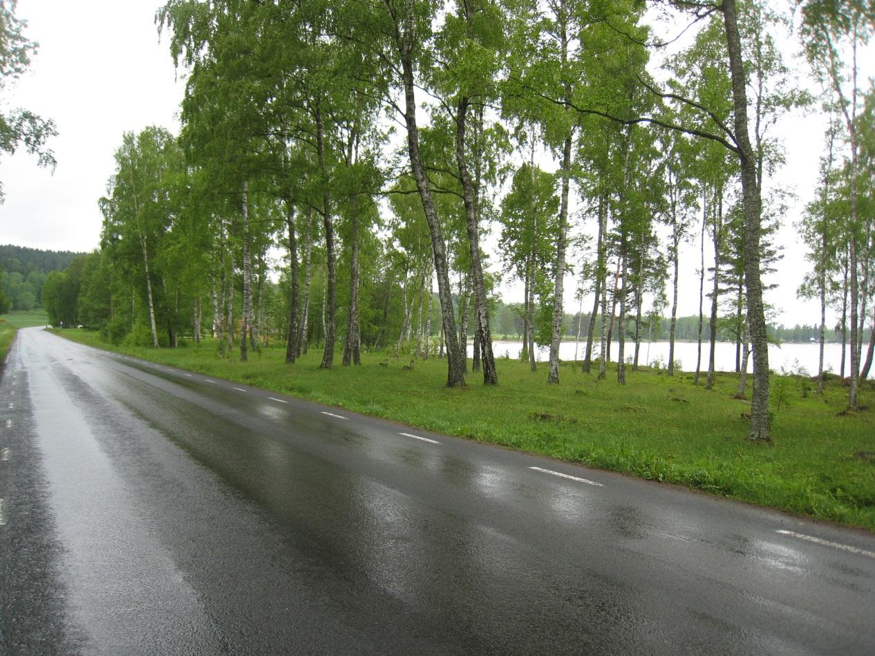 Förutsättningar Trafik och olyckor Naturmiljö