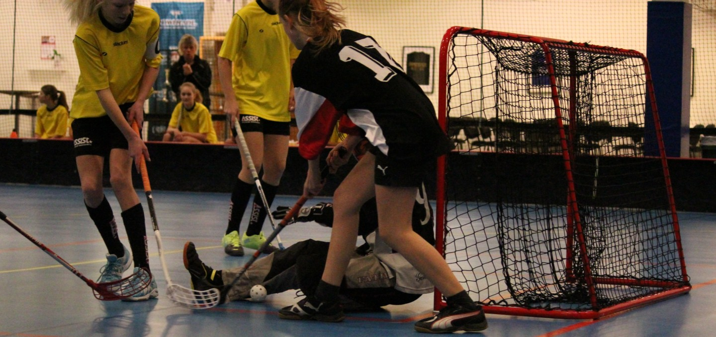 Sida 9 Skol IF En vanlig dag på Viksängsskolan Nya matchställ IAF1 år Ishockey! Dom nya matchställen är beställda och nu väntar vi på leveransen.