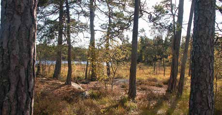 12. Rudan Rudan är ett av Haninges populäraste utflyktsmål och skyddas som naturreservat. Här finns både frisksportsanläggning, löpslingor, skidspår, vandringsleder och badplatser.