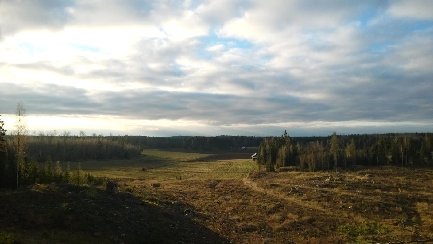 Mottagare Suomen Tuulivoima Oy Dokumenttyp Utredning av fågelbestånd Datum 8.4.