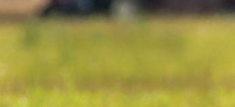 Är din hund Plats eventuell annons rätt försäkrad? Värdet på din hund ökar ju fler meriter den har. Vi hjälper dig att räkna ut värdet på din hund så att den alltid är rätt försäkrad.