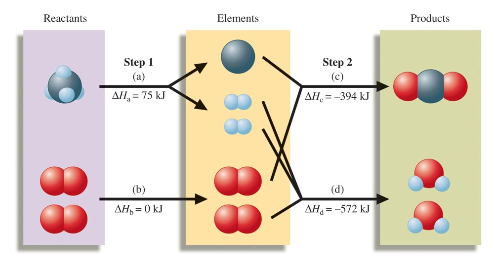 Avsnitt 6.