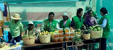 Peru inriktad på kapacitetsutveckling inom produktion och användning av ekologiskt gödslingsmedel, förbättrat djurfoder och bevattning.