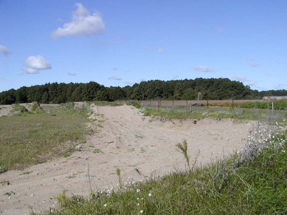 Längst i väster finns en mindre övningsbana för mc med stor blomrikedom och partier med öppen sand. Även där påträffades flera hotade frölöpararter, liksom en del intressanta solitärbin.