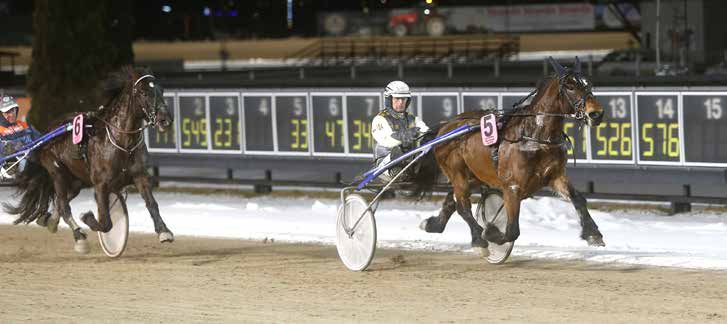 nyhetsbörsen mars2016 160310 Kajsa och Puccini hela vägen I fredags ordnade Kajsa Frick första segern åt Puccini. På Romme spårade de varje meter av kvällens tredje löpning.