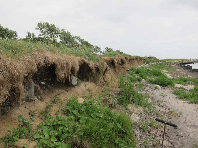Utmaningar Skånes kust Landhöjningen har upphört Stor andel kustnära bebyggelse Erosionskänsliga jordarter Havsytan stiger 3 mm/år (sedan 1980, SMHI) Höga