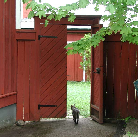 I Falköping lyfter vi fram de värden som är unika för just vår bygd. Här är vi stolta över vårt kulturarv, goda kommunikationer, det fantastiska platålandskapet och matkulturen på Falbygden.