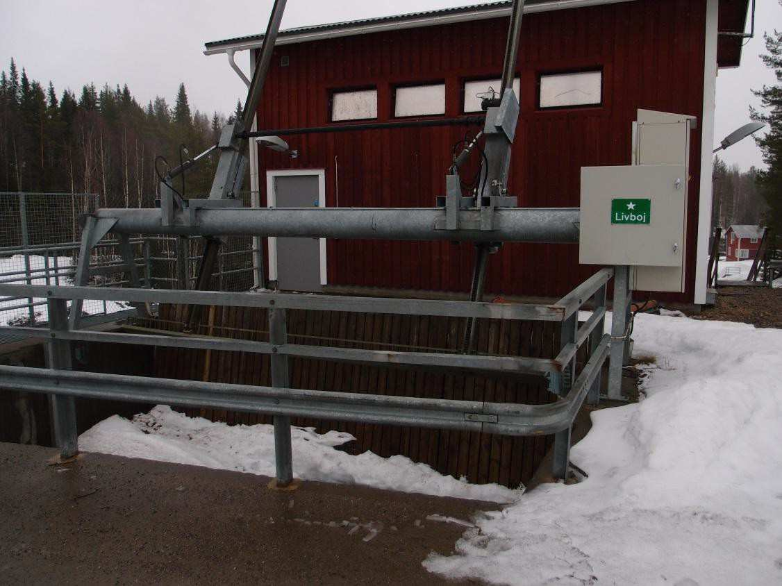 40 (55) - 35 % av de radiomärkta fiskarna som simmat genom turbinerna antogs ha dött vid turbinpassagen. - Mortaliteten för smolt som simmat genom fisktrappan uppgick till 33 %.