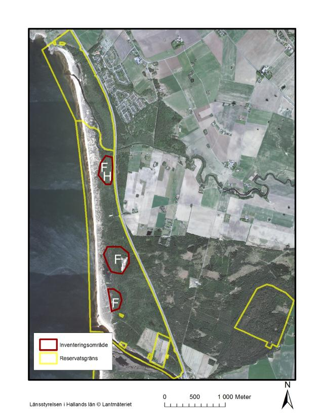 Fällor (F) utplacerades på tre platser: Två delområden i den södra delen (brända skogen i söder och sandgläntan), och ett delområde i den norra (lövsumpskog).