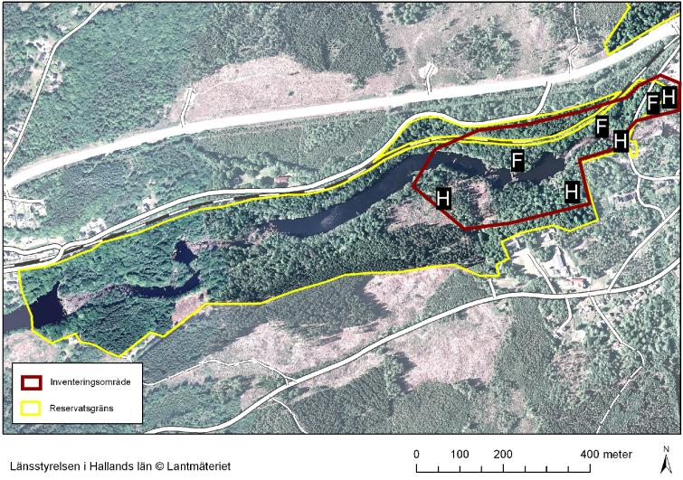 Med utgångspunkt från fjolårets pilotstudie koncentrerades inventeringen i Nissaström även i år till de nordöstra delarna av reservatet.