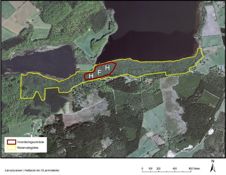 Inventeringsområdet i Långanskogen är den äldre källrika alsumpskogen i nordsluttning i reservatets centrala del, som sluttar söderut ner mot Byasjöns utlopp.