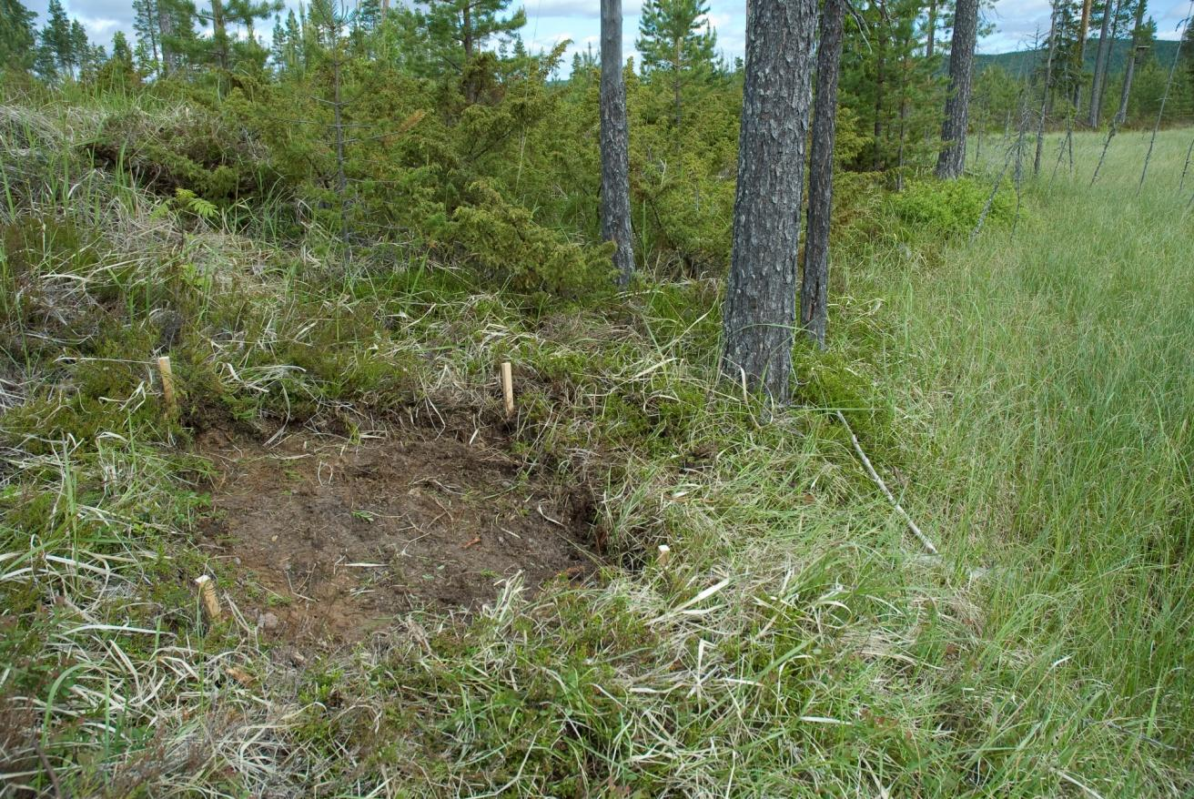 Fig. 4. Ola George, Västernorrlands länsmuseum, gräver och sållar material från Schakt G. Foto mot NÖ: Thomas B Larsson. Fig. 5.