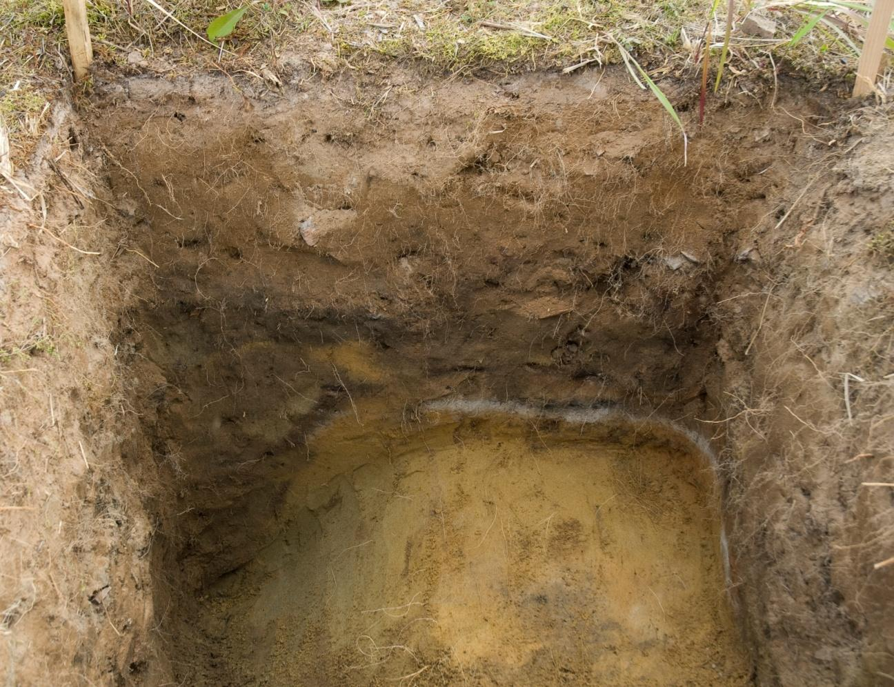 Dn 5 (40-50 cm) Schakt C: Brun kulturjord, med inslag av en ljusare röd-brun sand i V delen. Fläckvis blekjord med kolbitar, som sannolikt härrör från en gammal markyta. Ett kolprov togs.